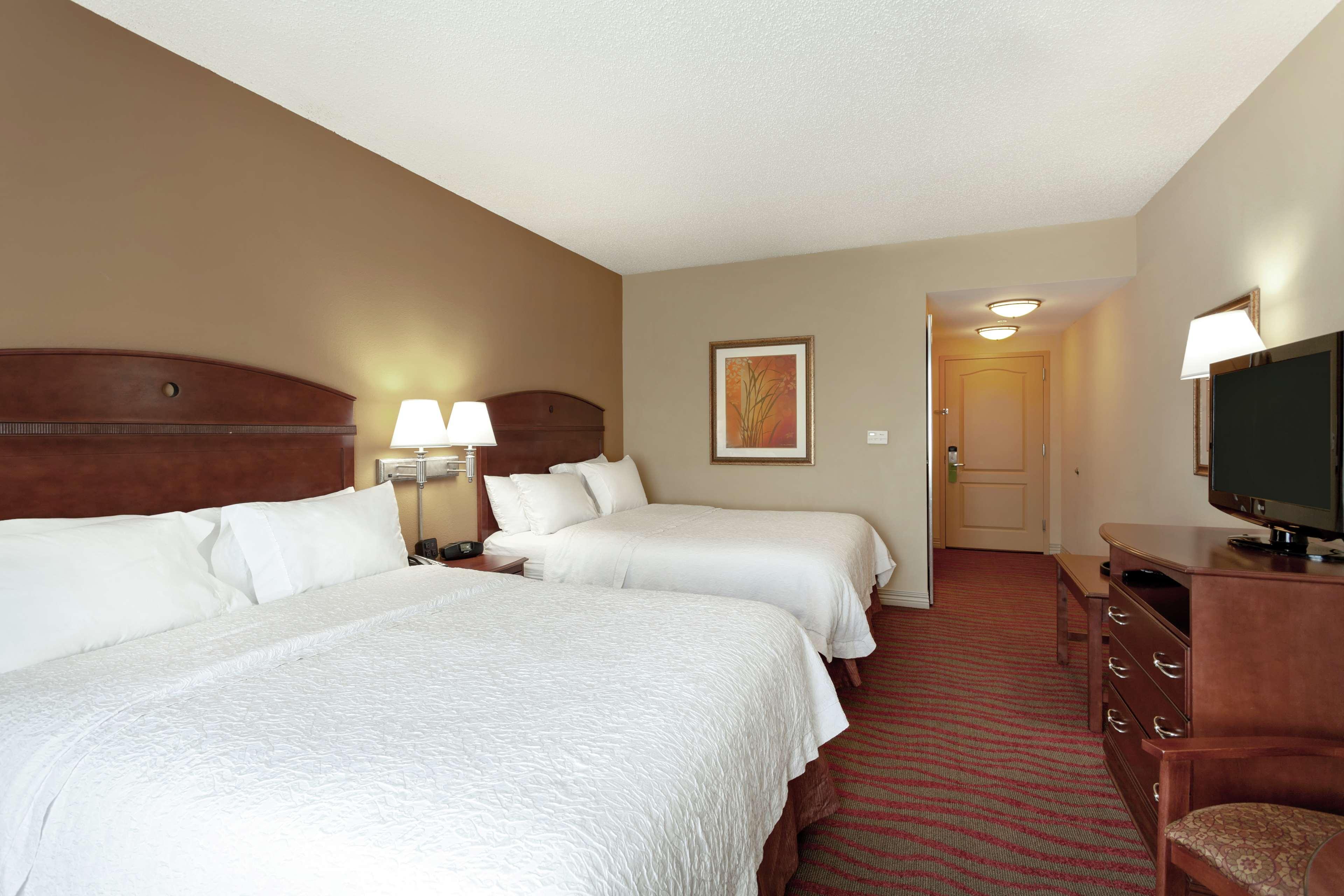 Hampton Inn & Suites Port Richey Zewnętrze zdjęcie