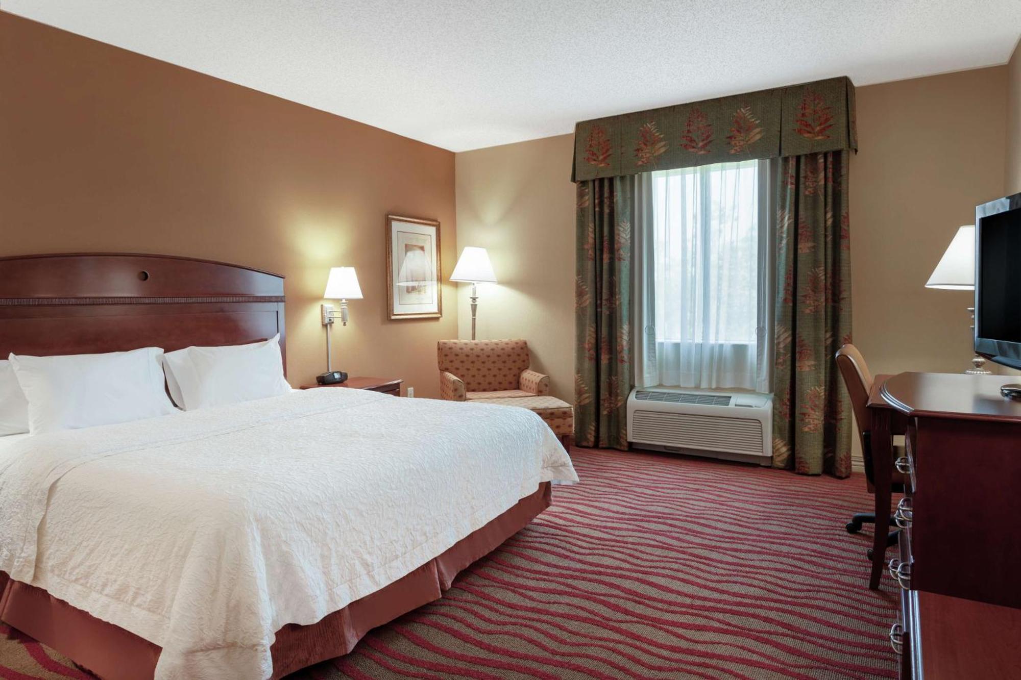 Hampton Inn & Suites Port Richey Zewnętrze zdjęcie